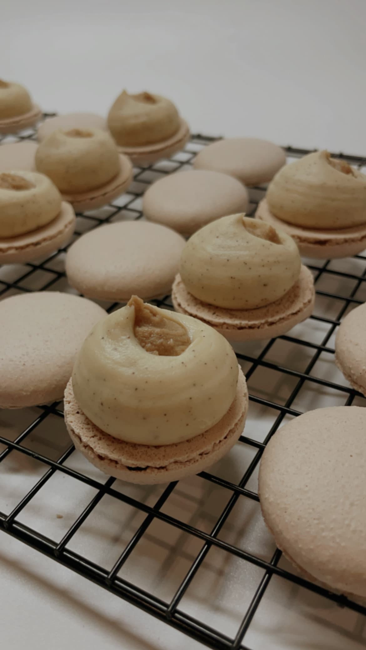 Tiramisu macaron flavour by Almond